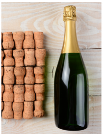 Mas Candí Brut Nature