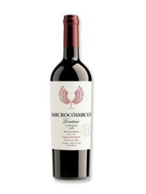Frontonio Microcósmico Tinto 2022