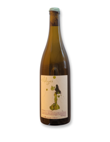 Domaine La Côtelette, Méligoté 2023 White Wine