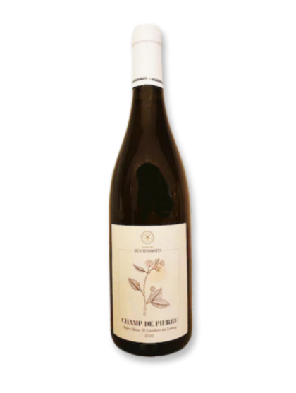 Domaine Myosotis Champ de Pierre Blanco 2023