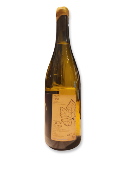 Sergio Alvarez APA  2022 White Wine