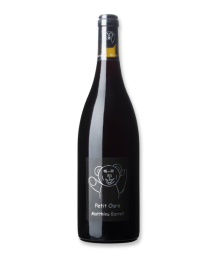 Matthieu Barret Petit Ours Brun Tinto 2024