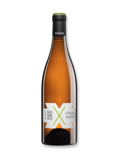 Coto de Gomariz X Godello 2023 White Wine