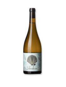 Constantina Sotelo Volandeira 2023 White Wine