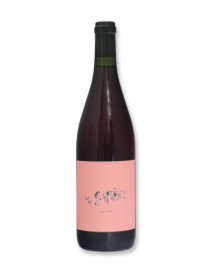 Péter Nagyváradi Róza 2023 Rose Wine