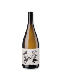 Casa Aurora Germán Blanco Biba 2023 Magnum