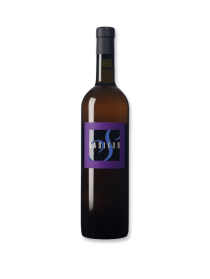 Radikon Sivi Pinot Grigio 2022 Orange Wine