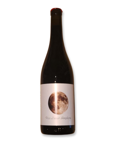 Malaparte Pico Lunar Syrah Ánfora 2021 Red Wine