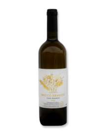 Bricco Ernesto Vino Blanco 2022 Orange Wine