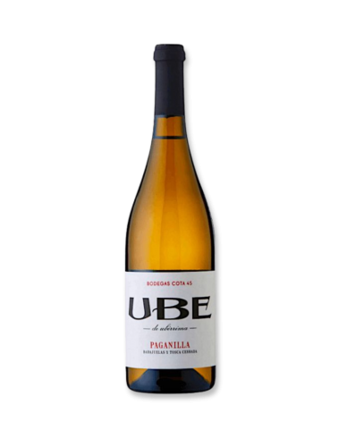 Bodegas Cota 45 Ramiro Ibánez Ube Paganilla 2022 White Wine