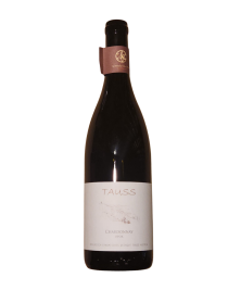 Werlitsch Chardonnay Von Opok 2023 White Wine