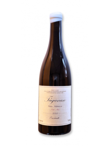 Envinate Taganan Tinto 2024 Red Wine
