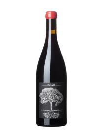 Jérôme Bretaudeu Ornaté Tinto 2023