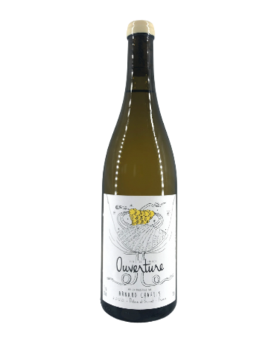Arnaud Chapuis Aligoté Blanco 2024