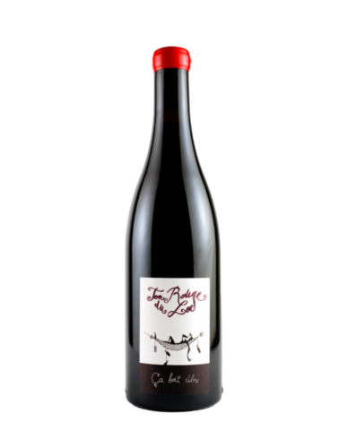Damien Bastian Ça Boit Libre Ton Rouge du Lac Tinto 2023
