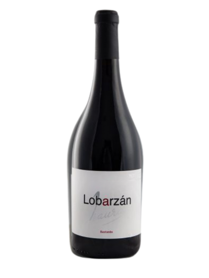 Castro Lobarzán Bastardo 2021 Red Wine