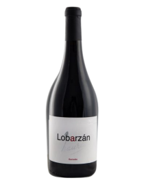 Castro Lobarzán Bastardo 2021 Red Wine