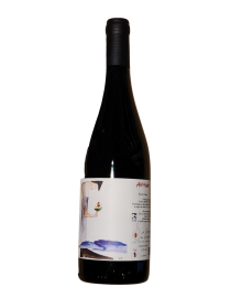 Le Champ du Possible Jacques Pierre Altitude 2024 Red Wine