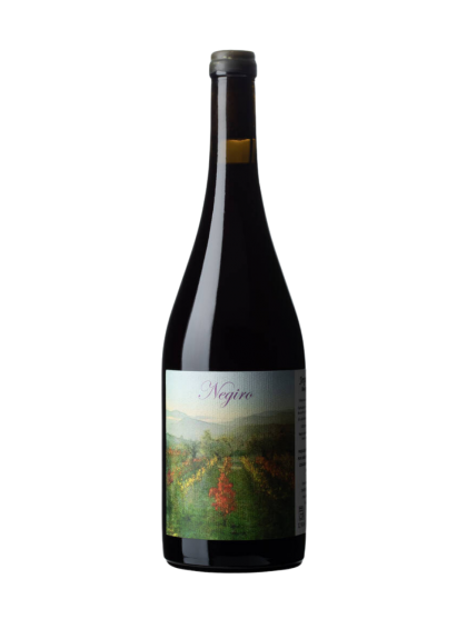 Jorge Olivera Negiro 2023 Red Wine