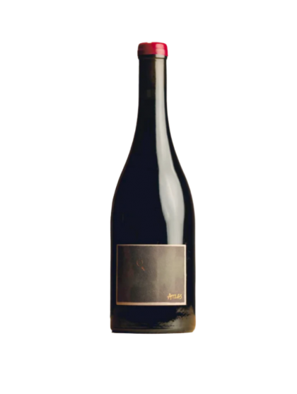 Bencze Atlas Pinot Noir Tinto 2022