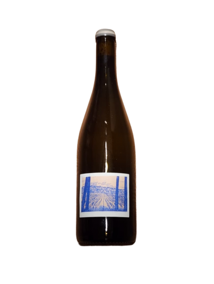 Bencze Pinot Gris 2022 White Wine