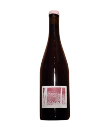 Bencze Pinot Gris Impromptu nº1 2022 White Wine