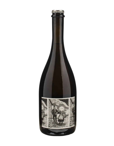 Terrevive Lambrusco Perfranco Bergianti Rosado 2023