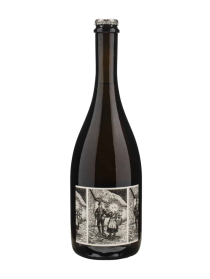 Terrevive Lambrusco Perfranco Bergianti Rosado 2023