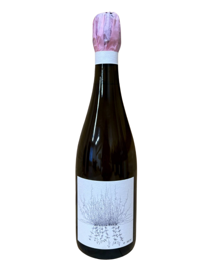 Johannes Aufricht Blanc de Blancs Brut Nature...