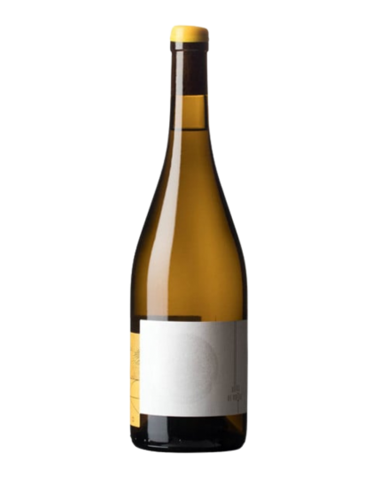 Fazenda Agricola Augalevada Ollos de Roque 2023...