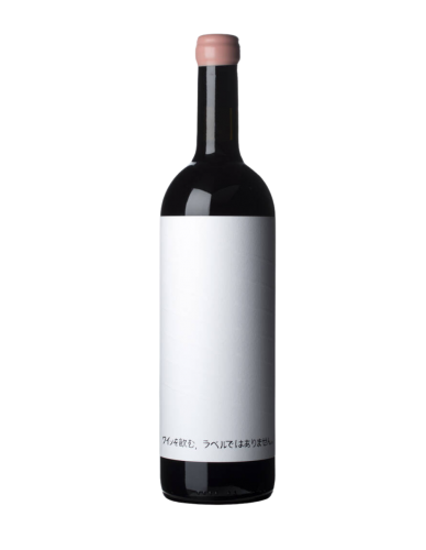 Alessandro Salvano DWNL Pinot Nero Tinto 2024