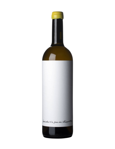 Alessandro Salvano DWNL Chardonnay Blanco 2024