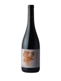 Tailleurs Cueilleurs Novera 2022 Red Wine