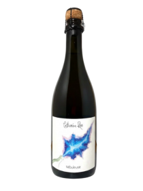 Catherine Riss Nebuleuse Blanco 2023