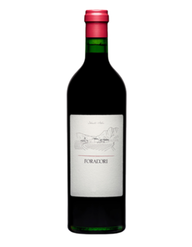 Elisabetta Foradori Tinto 2023