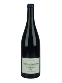 Antoine Petitprez Les Bas Liards 2022 Red Wine