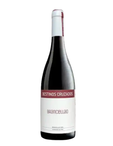 Destinos Cruzados Brancellao Tinto 2023