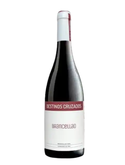 Destinos Cruzados Brancellao Tinto 2023
