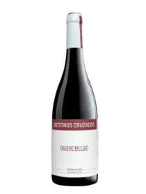Destinos Cruzados Brancellao Tinto 2023
