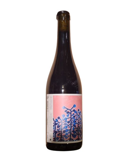 Hugo Courvosier Les Vignobles du Pagure Presia...