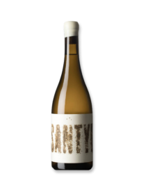Esmeralda García Arenas De Santyuste Vino De Pueblo Blanco 2024