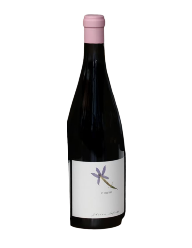 Johannes Aufricht Austernacker 2024 White Wine