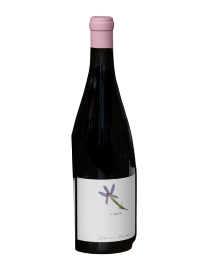 Johannes Aufricht Austernacker 2024 White Wine