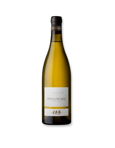 Jose Antonio García Godello Viñas Viejas Blanco 2024