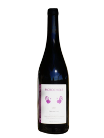 Claire et Florent Béjon Picrochole Cabernet Franc Tinto 2024