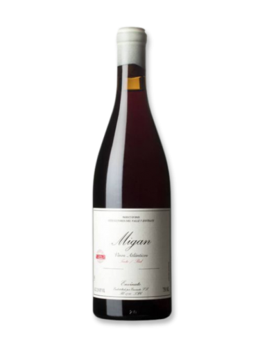 Envinate Migan Tinto 2021