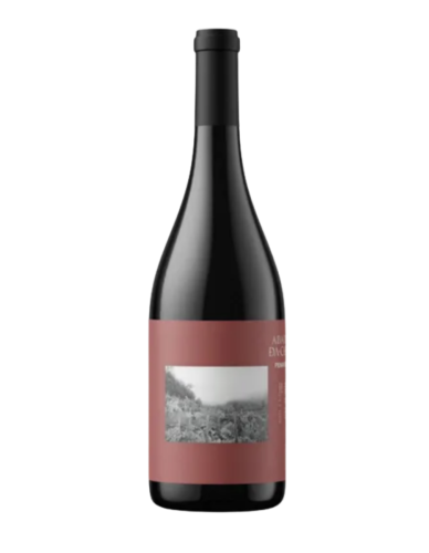 Abadía da Cova Penafión 2022 Red Wine