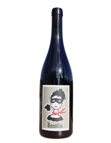 Cascina Tavjin Bandita 2024 Red Wine