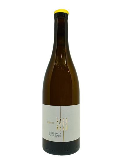 Fazenda Agricola Augalevada Paco Rego 2024...
