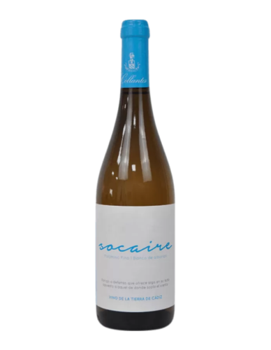 Primitivo Collantes Socaire Palomino Blanco 2024